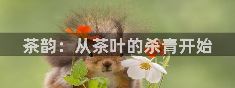龙八国际游戏娱乐