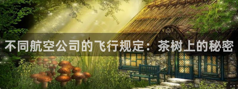 龙八国际娱乐二维码