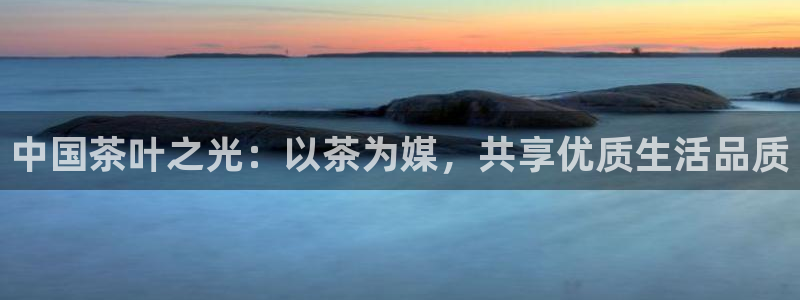龙八国际娱乐app