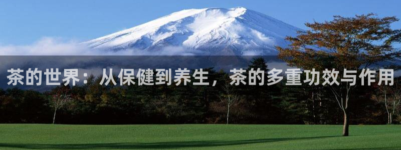 龙八国际官首页