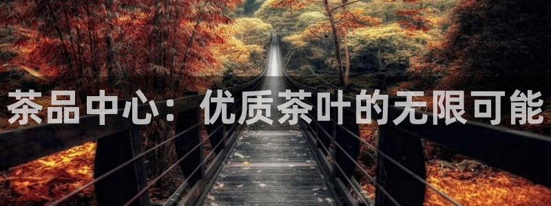 龙八国际官方网登录