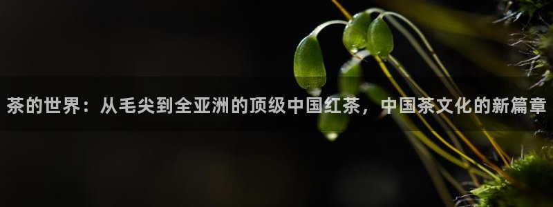 龙八国际app联系方式