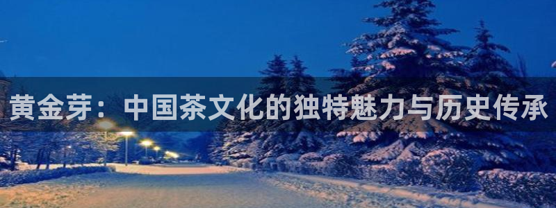 龙八国际app官方下载手机端