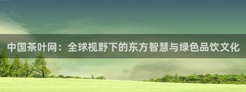 龙八龙八国际