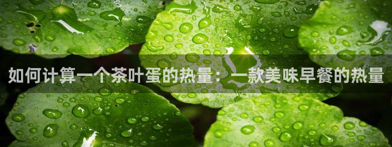 龙八国际服官网入口