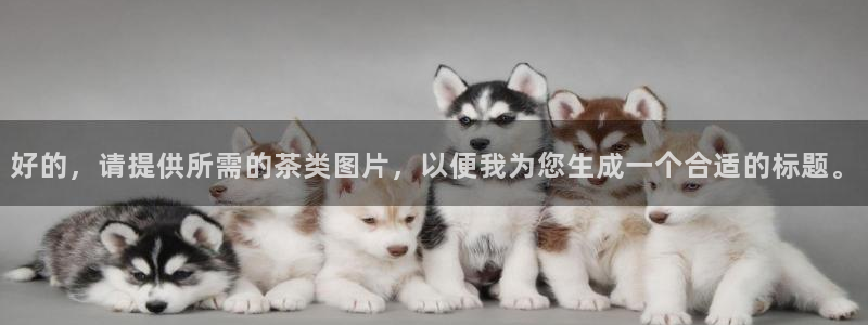 龙八国际网页long