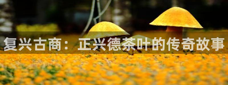龙八国际平台首页