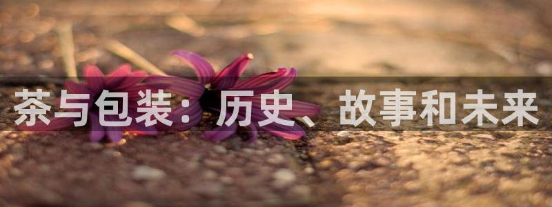 龙八国际手游
