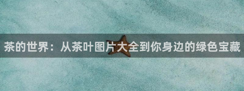 在龙八国际