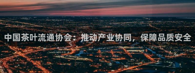 龙八国际更新
