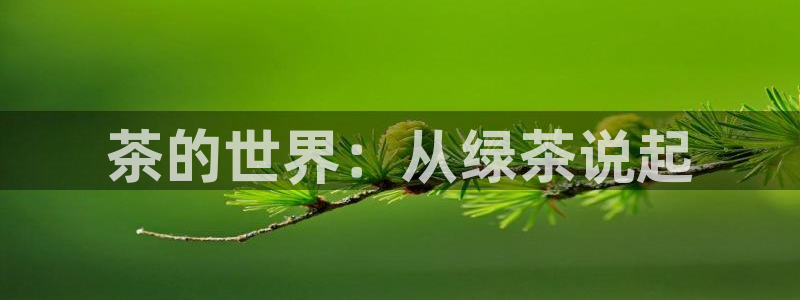 龙八国际网址视讯平台