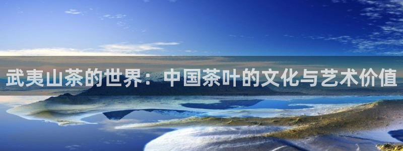 龙八国际城网址