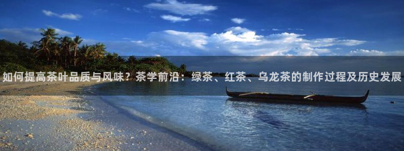 龙八国际网页版本