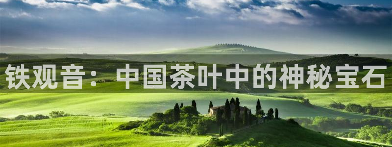 龙八国际app电话