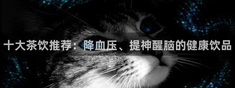 龙八国际官方网站手机版