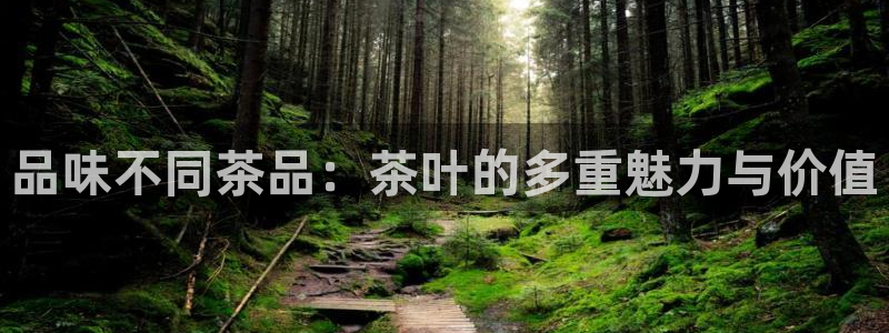 龙八国际在线玩