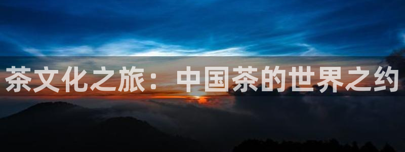 龙八国际客服端登录