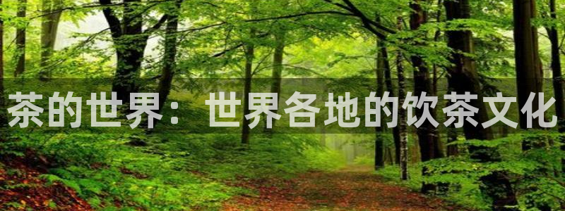 龙八国际官网网站