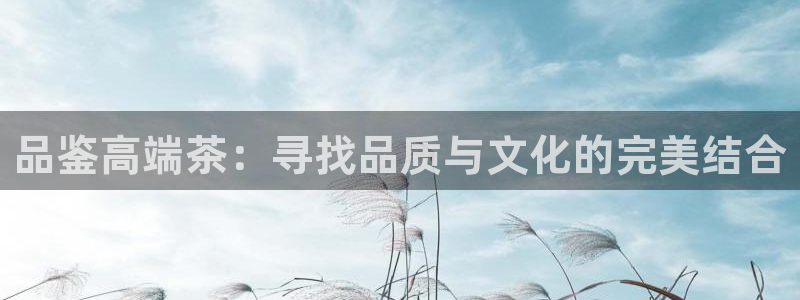 龙八国际苹果版下载