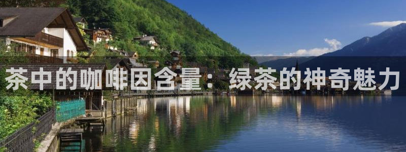 下载龙八国际网站