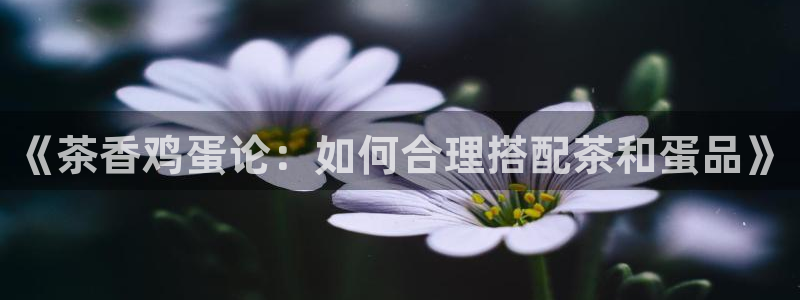 龙八国际娱乐平台