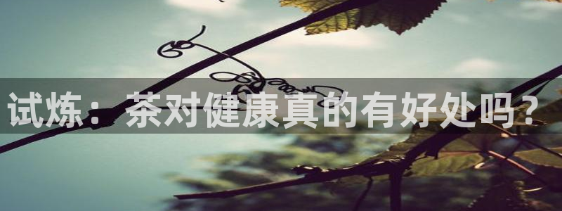 龙八国际害死多少人