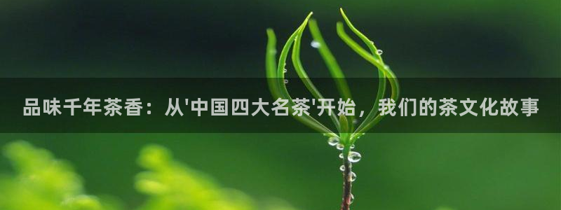 龙八国际官方网站pt