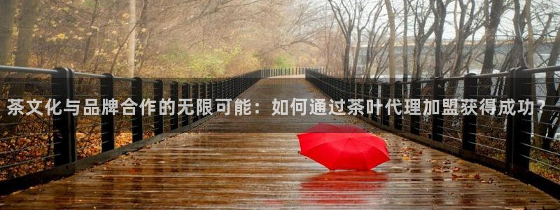 下载龙八国际大片
