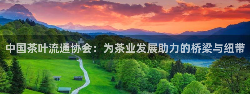 在龙八国际