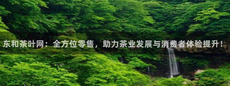 正规龙八国际娱乐