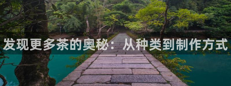 龙八国际官方网站pt