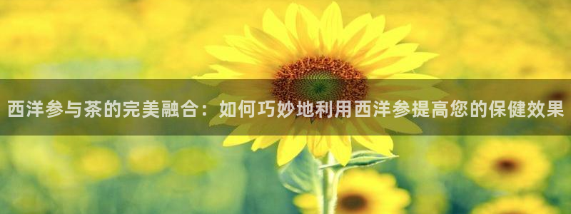 龙八国际网址