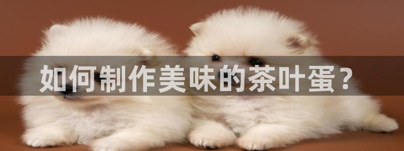 龙八国际头号玩家