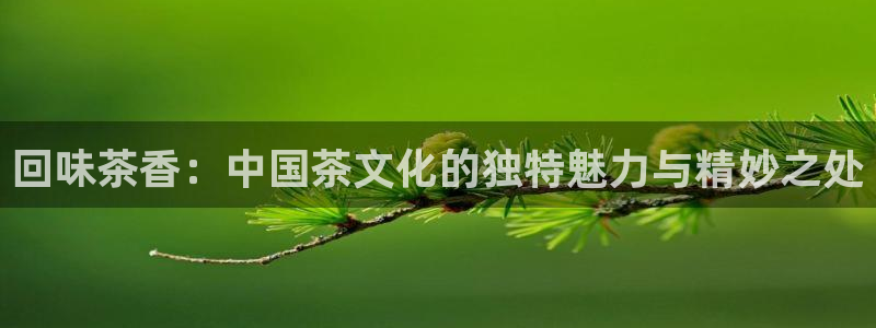 龙八国际app首页