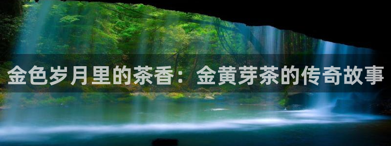 龙八国际官方网