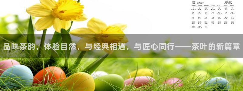 龙八国际网