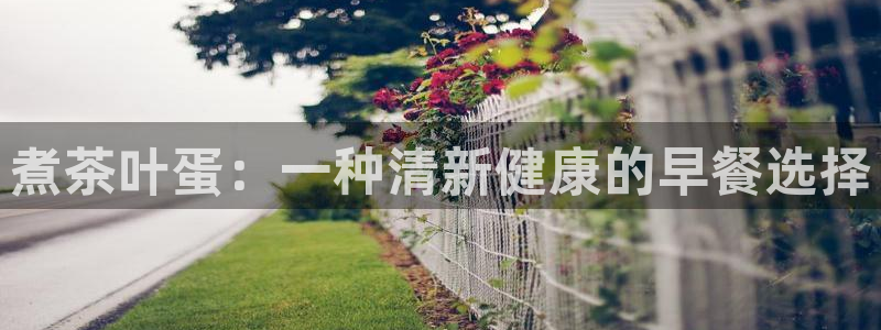 龙八国际集团