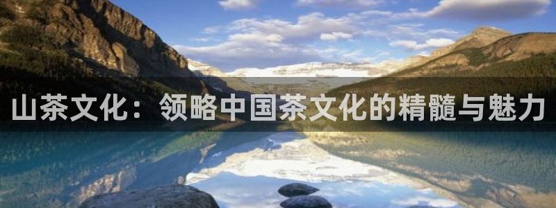 龙八国际服官网下载安装