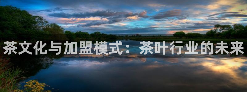 龙八国际官网安卓