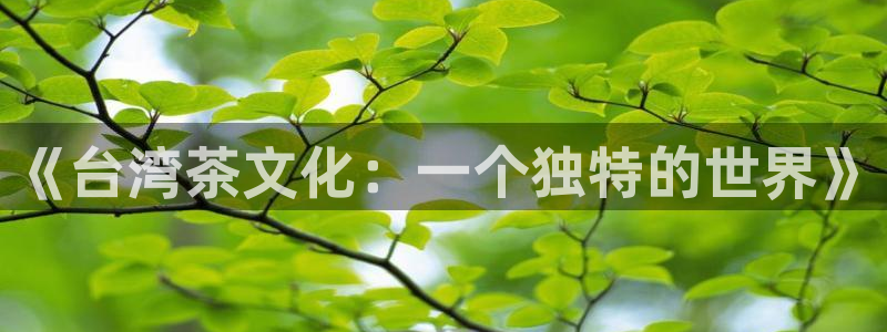 龙八国际pt娱乐
