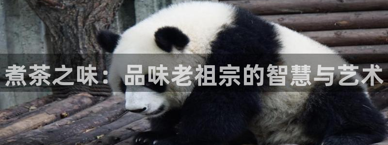 龙八国际苹果下载地址