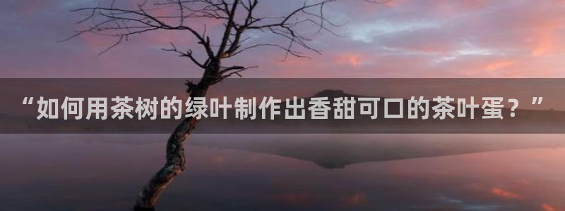 龙八国际娱乐正版