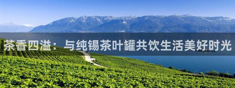 龙八国际手游