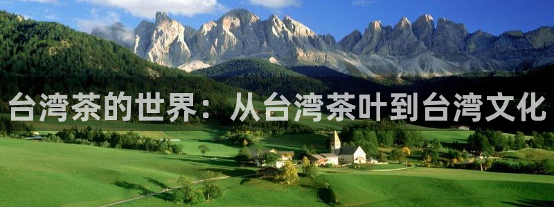 龙八国际登录网