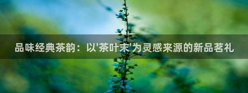 龙八国际app手机版下载安卓