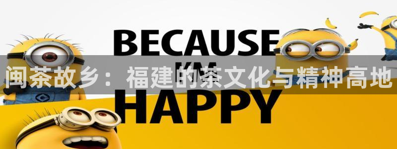 龙八国际 我的