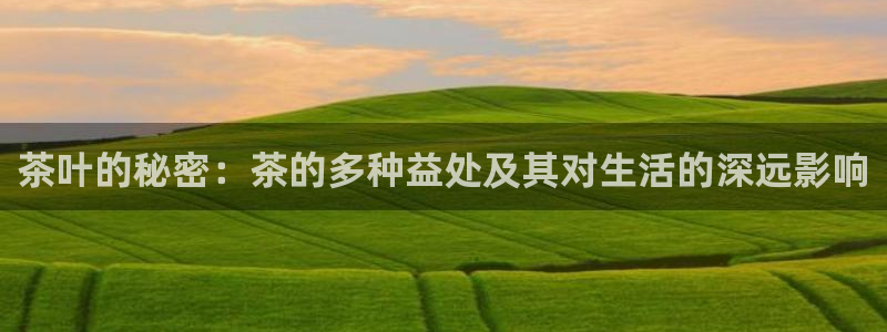 龙八国际网易云音乐