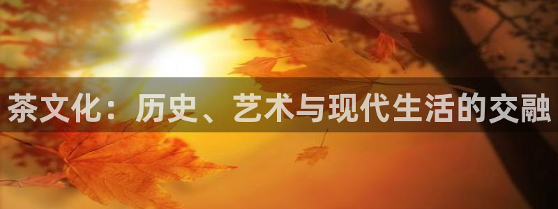 在龙八国际