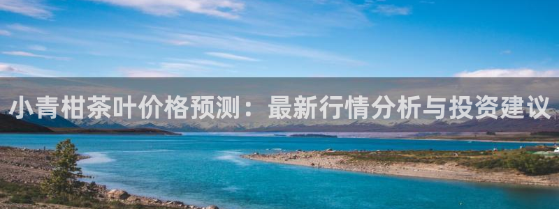 龙八国际pt娱乐
