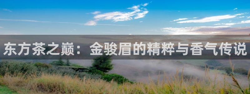 龙八国际app客户端经济区